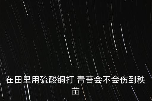 在田里用硫酸銅打 青苔會不會傷到秧苗
