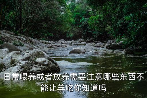 日常喂養或者放養需要注意哪些東西不能讓羊吃你知道嗎