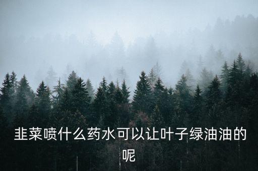 韭菜澆什么農(nóng)藥,韭菜上一般打什么農(nóng)藥