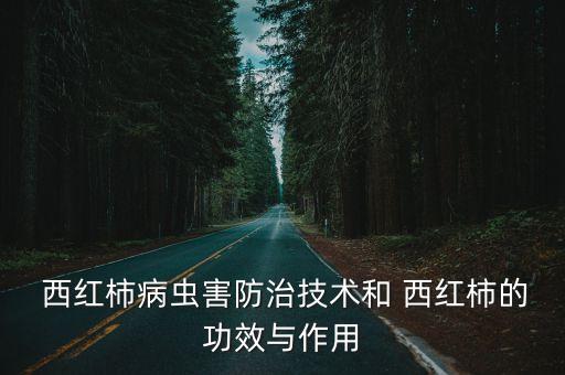  西紅柿病蟲害防治技術和 西紅柿的功效與作用