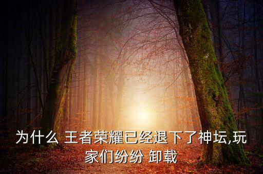 為什么 王者榮耀已經退下了神壇,玩家們紛紛 卸載