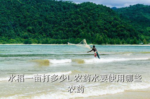 水稻一畝打多少L 農藥水要使用哪些 農藥