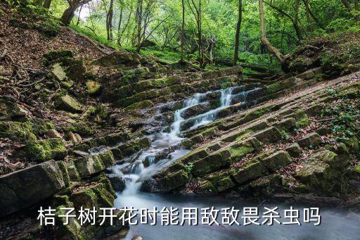 桔子樹開花時能用敵敵畏殺蟲嗎