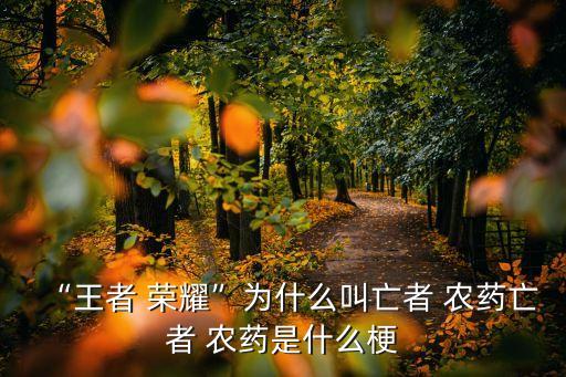 榮耀為什么叫農藥,為什么叫3911農藥