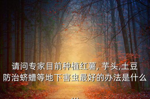 種芋頭要打什么農藥,芋頭種在什么地方最好