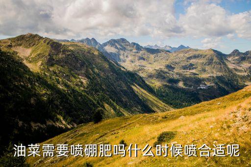 油菜幼苗起去用什么農藥