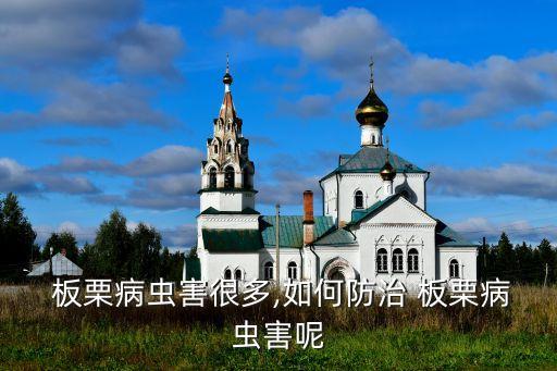 板栗樹什么是農藥