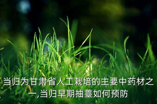 川芎打什么農藥最好使,川芎與什么搭配最好