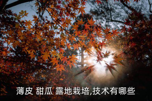 薄皮 甜瓜 露地栽培,技術有哪些