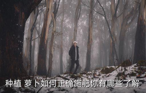 種植 蘿卜如何正確施肥你有哪些了解