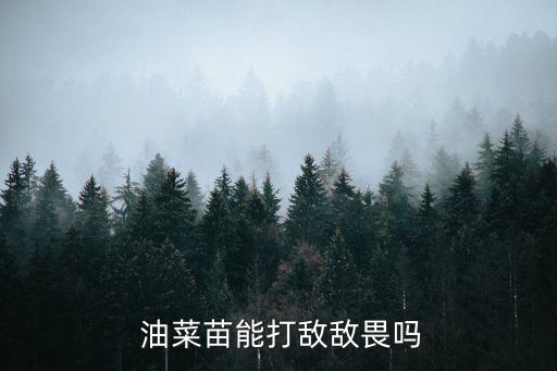  油菜苗能打敵敵畏嗎