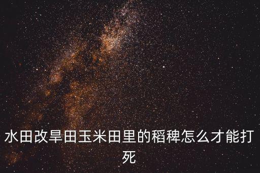 水田改旱田玉米田里的稻稗怎么才能打死