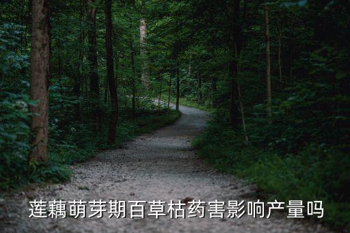 用什么農(nóng)藥可以殺死蓮藕,什么除草劑能殺死蓮藕