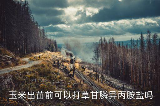 玉米前期打什么農藥好呢,什么農藥能讓玉米不結棒