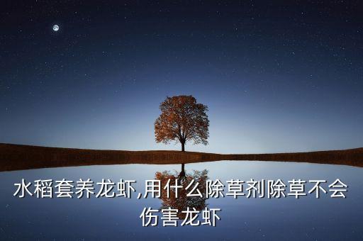 水稻套養龍蝦,用什么除草劑除草不會傷害龍蝦