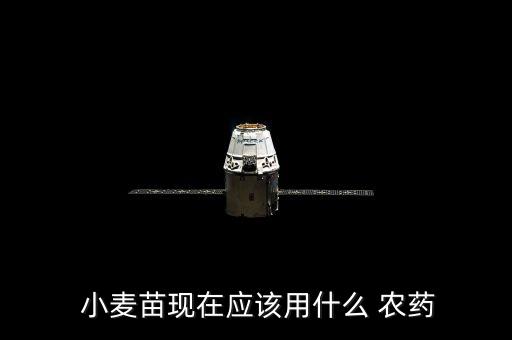  小麥苗現在應該用什么 農藥