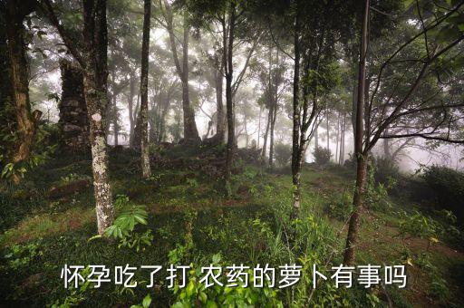  懷孕吃了打 農藥的蘿卜有事嗎