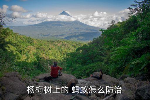 請(qǐng)問螞蟻上樹用什么農(nóng)藥,螞蟻上樹服務(wù)是指什么意思
