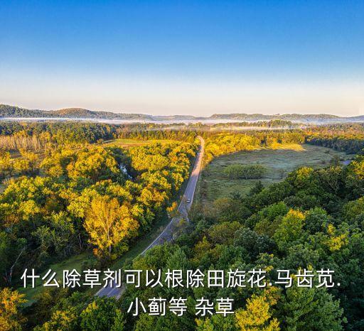 什么農(nóng)藥能消滅雜草呢,頑固雜草用什么農(nóng)藥