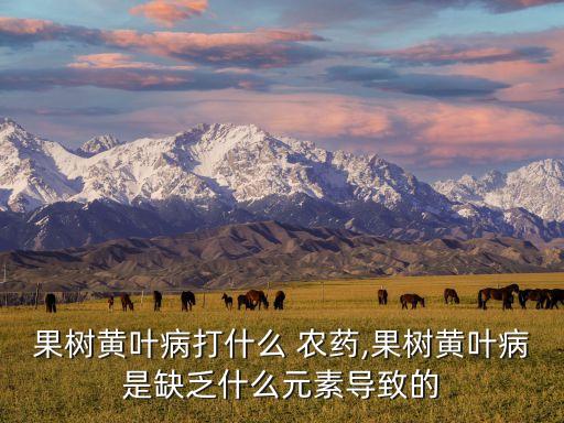 果樹黃葉病打什么 農(nóng)藥,果樹黃葉病是缺乏什么元素導(dǎo)致的