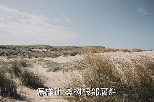 什么農藥可以毒死桑樹,桑樹打什么農藥