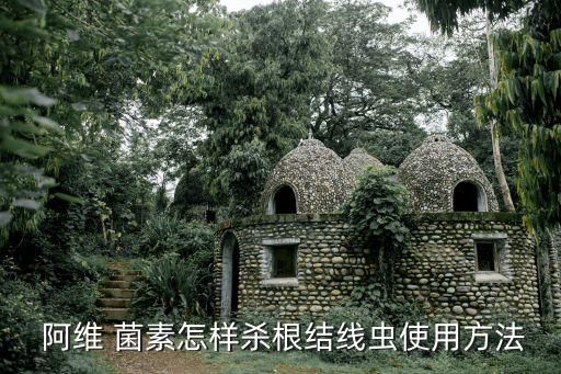 阿維 菌素怎樣殺根結線蟲使用方法