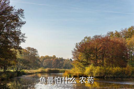 魚最怕什么 農藥
