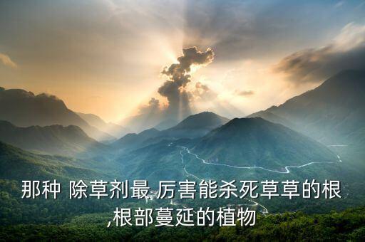 那種 除草劑最 厲害能殺死草草的根,根部蔓延的植物