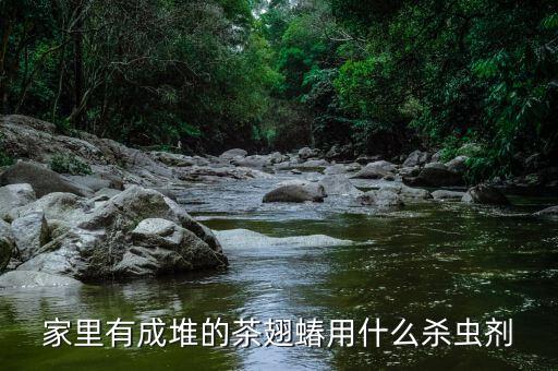 蝽蟓什么農藥可以打死,盲蝽蟓用什么農藥最好