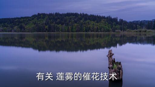 有關(guān) 蓮霧的催花技術(shù)