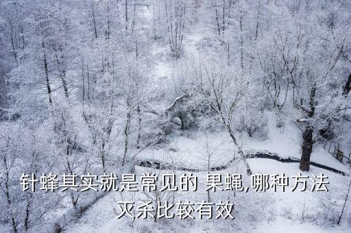 果蠅什么農藥好,消滅果蠅最有效的農藥