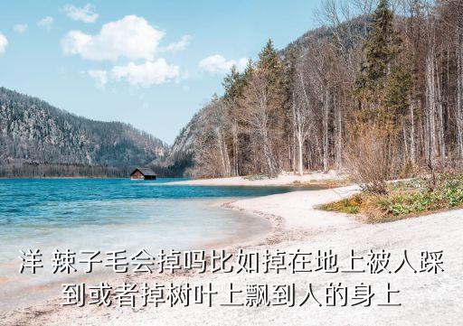 洋辣子用什么農(nóng)藥圖片,什么是洋辣子圖片