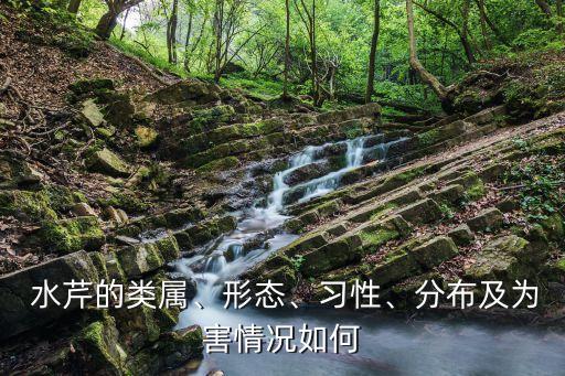  水芹的類屬、形態、習性、分布及為害情況如何