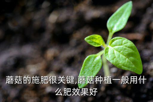 什么菌補尿素效果好呢農藥,尿素和什么一起噴效果好