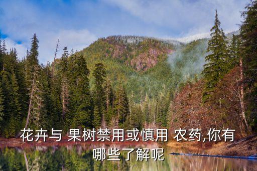 什么農(nóng)藥不給果樹結(jié)果,果樹打什么農(nóng)藥,啥時(shí)候打