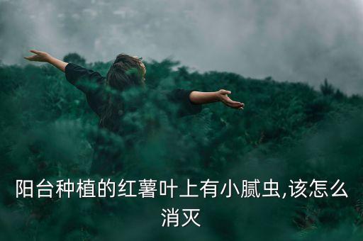 地瓜葉打什么農藥好,地瓜打農藥嗎
