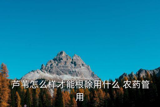 什么農藥可以消滅蘆葦,消滅蘆葦最快的農藥