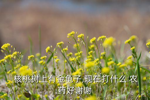  核桃樹上有金龜子,現在打什么 農藥好謝謝