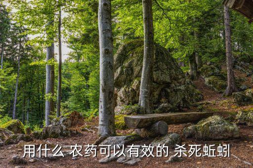 農藥殺死什么蟲害多呢視頻
