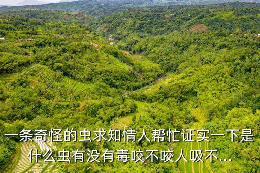 一條奇怪的蟲求知情人幫忙證實(shí)一下是什么蟲有沒有毒咬不咬人吸不...