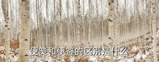 農藥便簽是什么意思啊,便簽里面的標記是什么意思