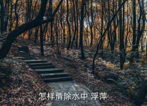水面浮萍用什么農藥好,什么農藥能殺死浮萍