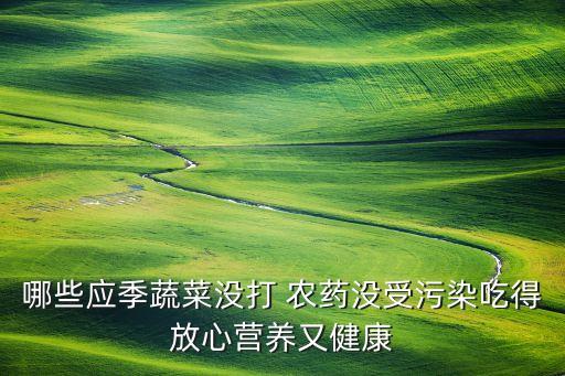 夏天北方種什么菜農藥少,夏天適合種什么菜最方便