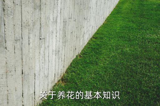 什么農藥種花好養殖,種花生拌什么農藥