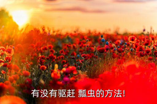 瓢蟲為什么不怕農藥,海參為什么不怕農藥