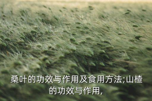 桑葉打什么農(nóng)藥最好使,桑葉治什么病最好