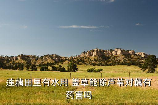 農(nóng)藥蓋草能治什么病,蓋草能可以和農(nóng)藥混用嗎