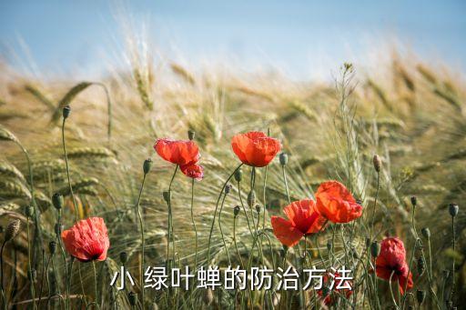 小綠葉蟬用什么農(nóng)藥噴