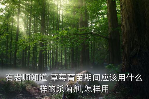 有老師知道 草莓育苗期間應(yīng)該用什么樣的殺菌劑,怎樣用