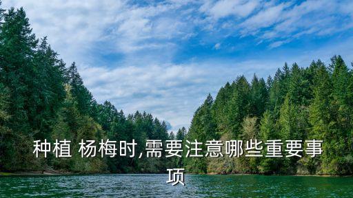 楊梅種植用什么農藥,楊梅苗種植